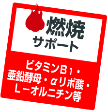 燃焼サポート ビタミンB1・亜鉛酵母・αリポ酸・Lカルニチン