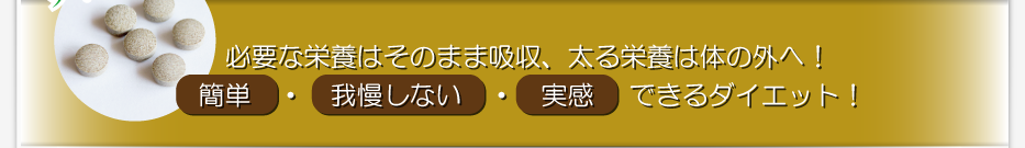 必要な栄養はそのまま吸収、太る栄養は体の外へ！  簡単　・　我慢しない　・　実感　 できるダイエット！